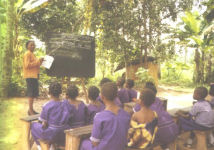 Class Under Trees in the Jungle